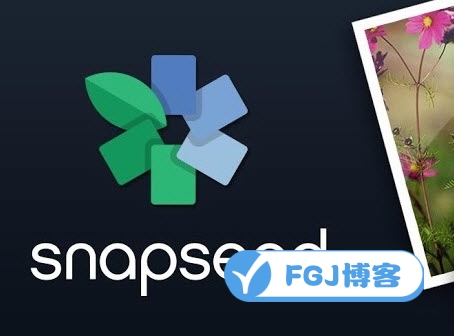 Snapseed软件使用方法及技巧教程